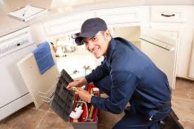 Best Tankless Water Heater Services  in Sandy Oaks, TX